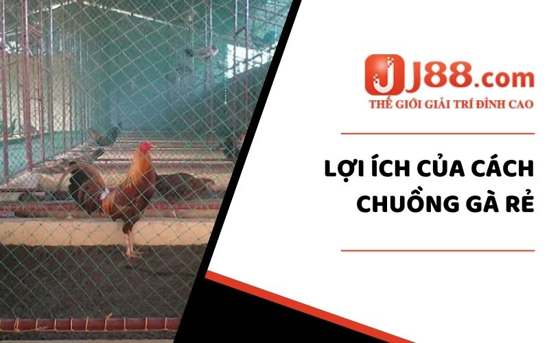 Lợi ích của cách chuồng gà rẻ