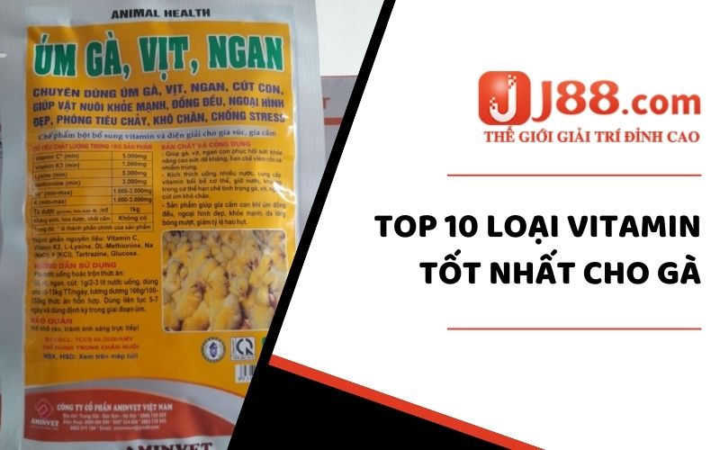 Các loại Vitamin tốt nhất cho gà